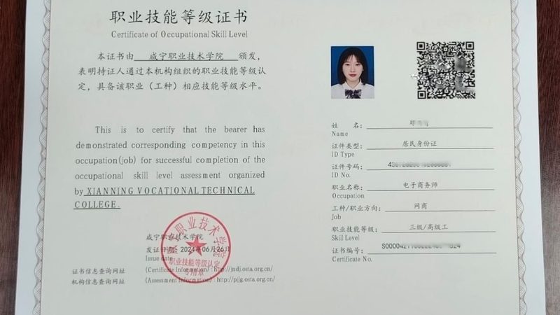 网店装修，2025年价格对比解析